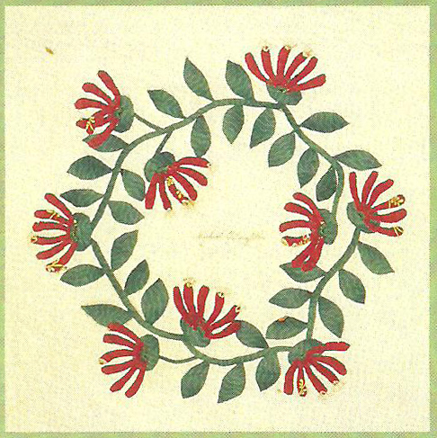 Honeysuckles by Michael O'Laughlen