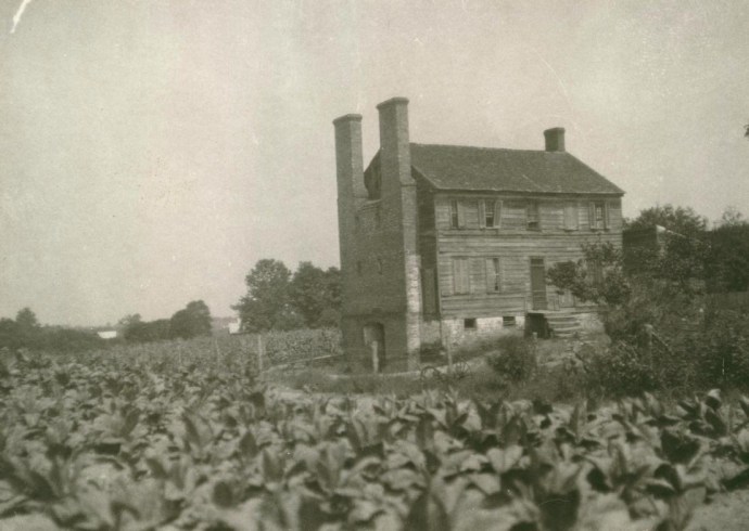 Port Tobacco's Chimney House  surrounded by tobacco plants circa 1930
