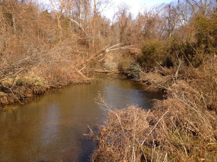 Dents Back of unnamed stream