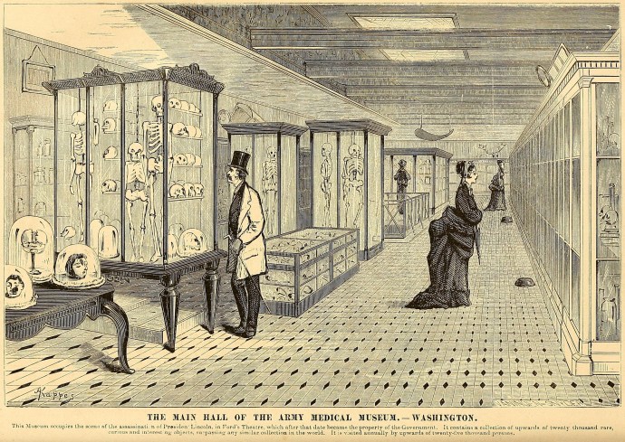 Army Medical Museum in Ford's Theatre engraving 1873