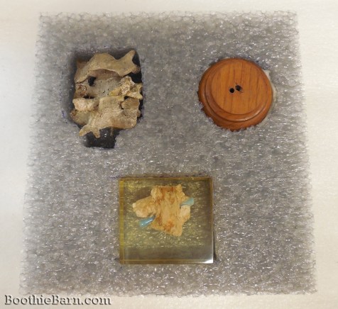 John Wilkes Booth Vertebrae and Spinal Cord