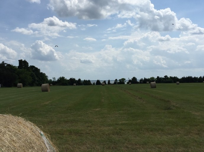 A farm near the water at Banks O'Dee. Thomas Harbin and Joseph Baden crossed the Potomac river near here on April 16, 1865.
