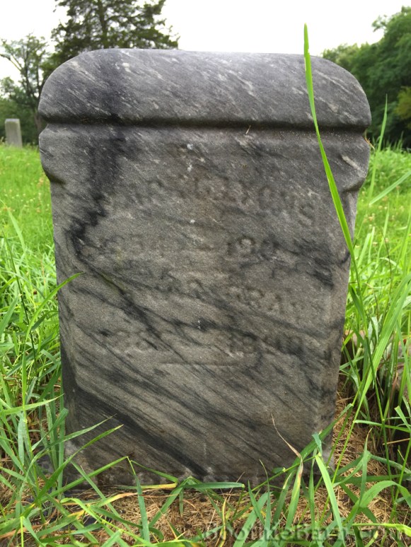 mark-gray-lyons-grave-1-7-8-2015