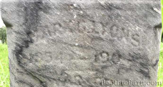 mark-gray-lyons-grave-anima